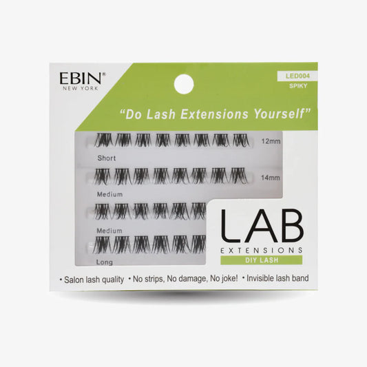 LAB EXTENSIONS 004